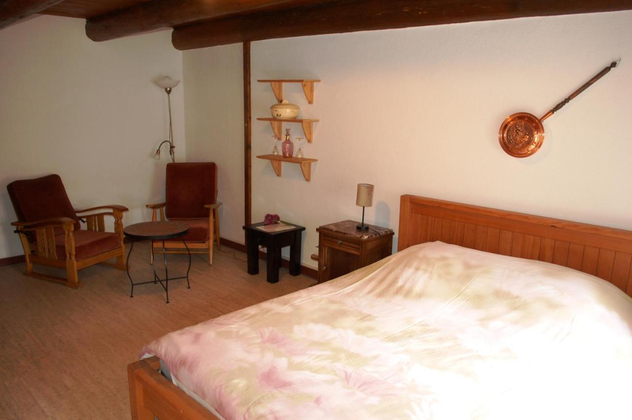 Bed and Breakfast Le Grand Trianon Saint-Didier-sur-Doulon Esterno foto