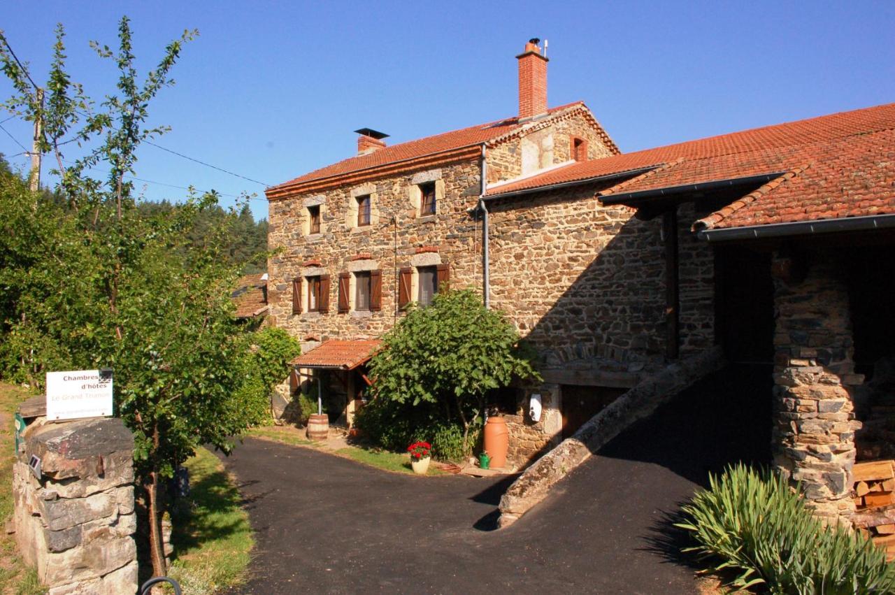 Bed and Breakfast Le Grand Trianon Saint-Didier-sur-Doulon Esterno foto
